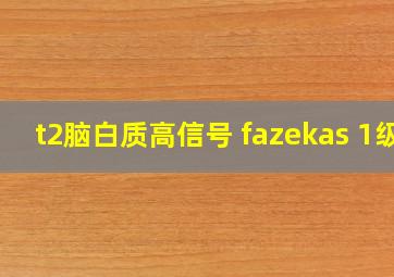 t2脑白质高信号 fazekas 1级